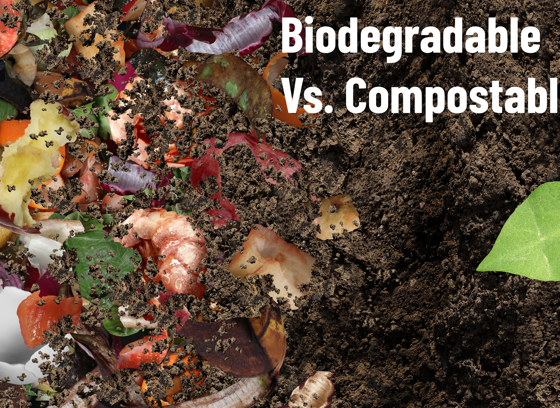Understanding the Difference Between Biodegradable and Compostable
