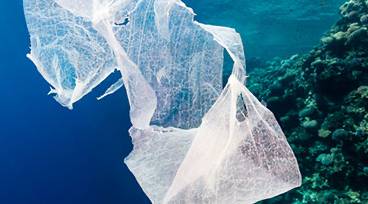 Why Is Biodegradable Plastic Important?