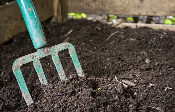 Home Compostable vs. Industrial Compostable: Understanding the Difference